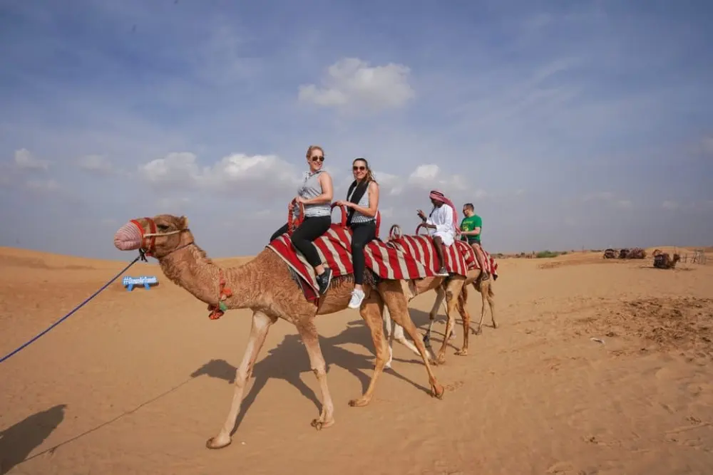 dubai-adventure-dune-buggy-safari-camel-ride-bbq-dinner-e116317355434024